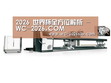 视频展示一