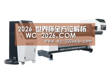 案例展示三