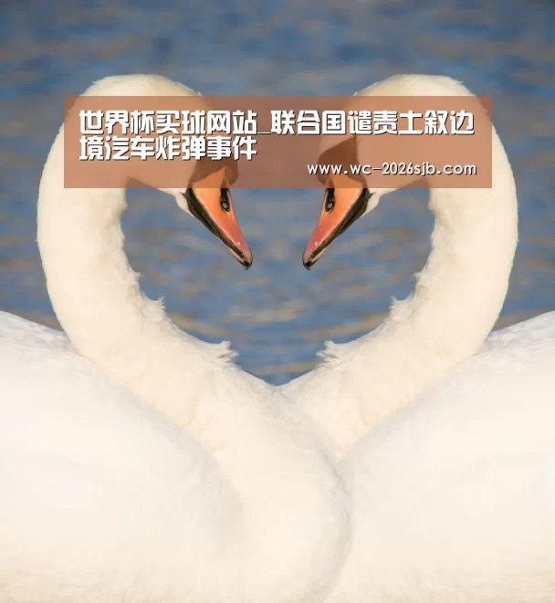 世界杯买球网站_联合国谴责土叙边境汽车炸弹事件