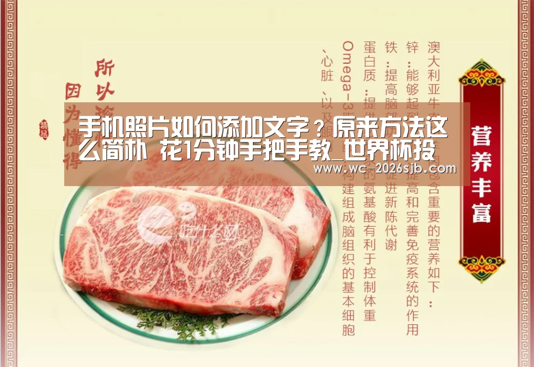 世界杯买球网站