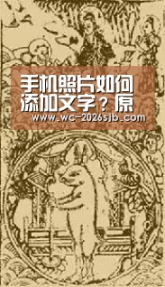 世界杯买球网站