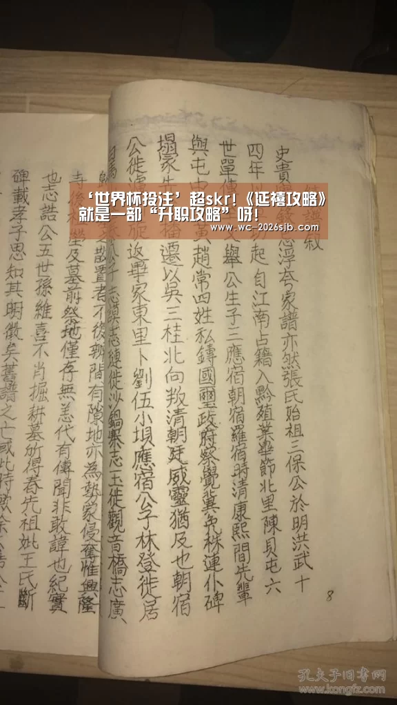 ‘世界杯投注’超skr!《延禧攻略》就是一部“升职攻略”呀!