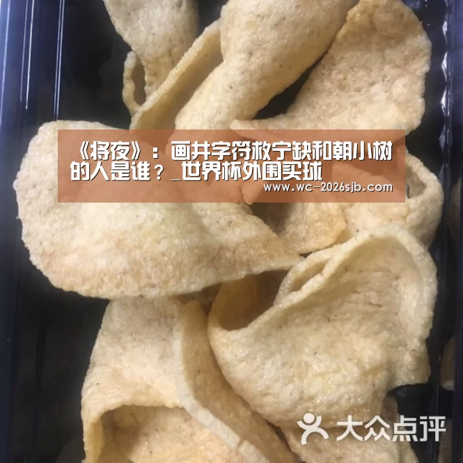 《将夜》：画井字符救宁缺和朝小树的人是谁